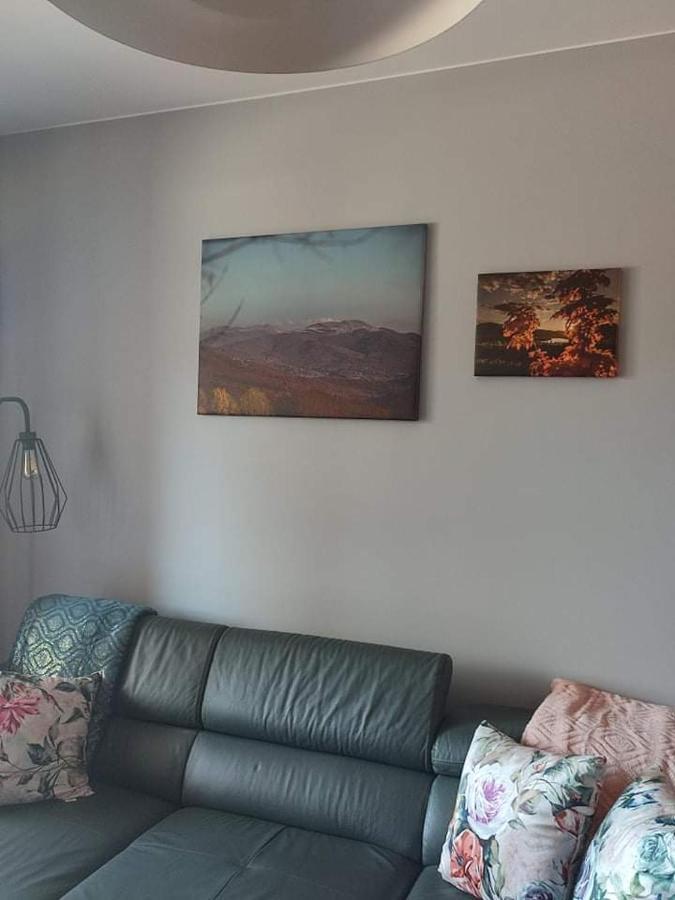 Lux Apartament Odkryj - Bieszczady Ustrzyki Dolne Bagian luar foto